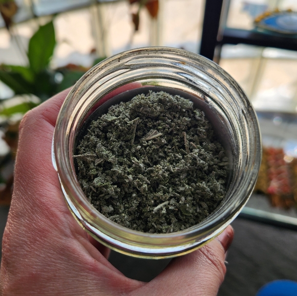 Catnip - Picture 1 of 7